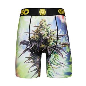 ⭐️NEW⭐️ PSD Good Buds Underwear